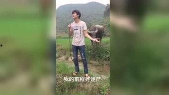 宝可梦大乱战sp国际服 